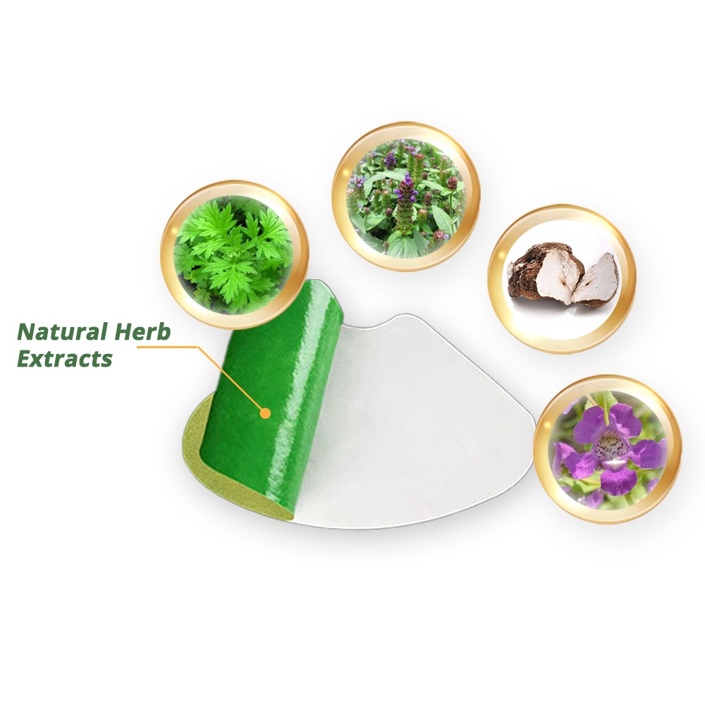 flysmus™ CurvaLux Enhancement Herbal Patch