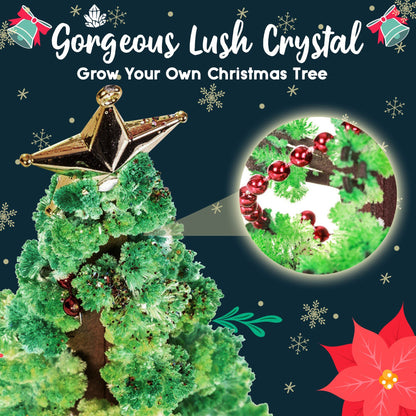 Growing Crystal Christmas Tree