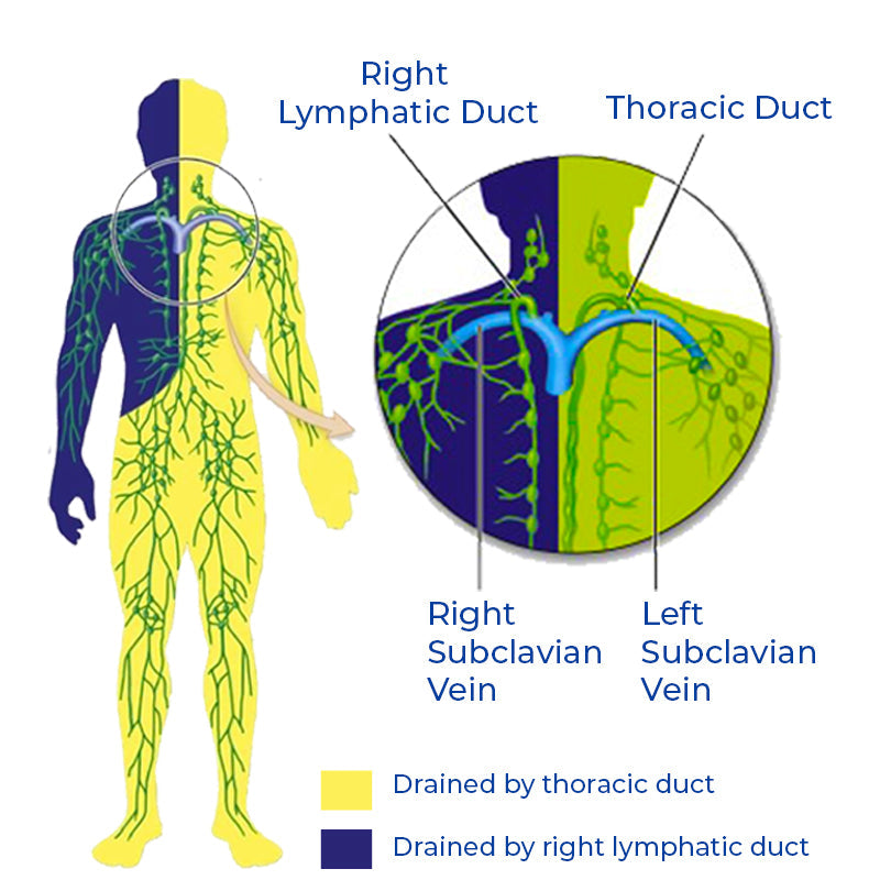 GFOUK™ Ultrasonic Lymphatic Soothing Instrument